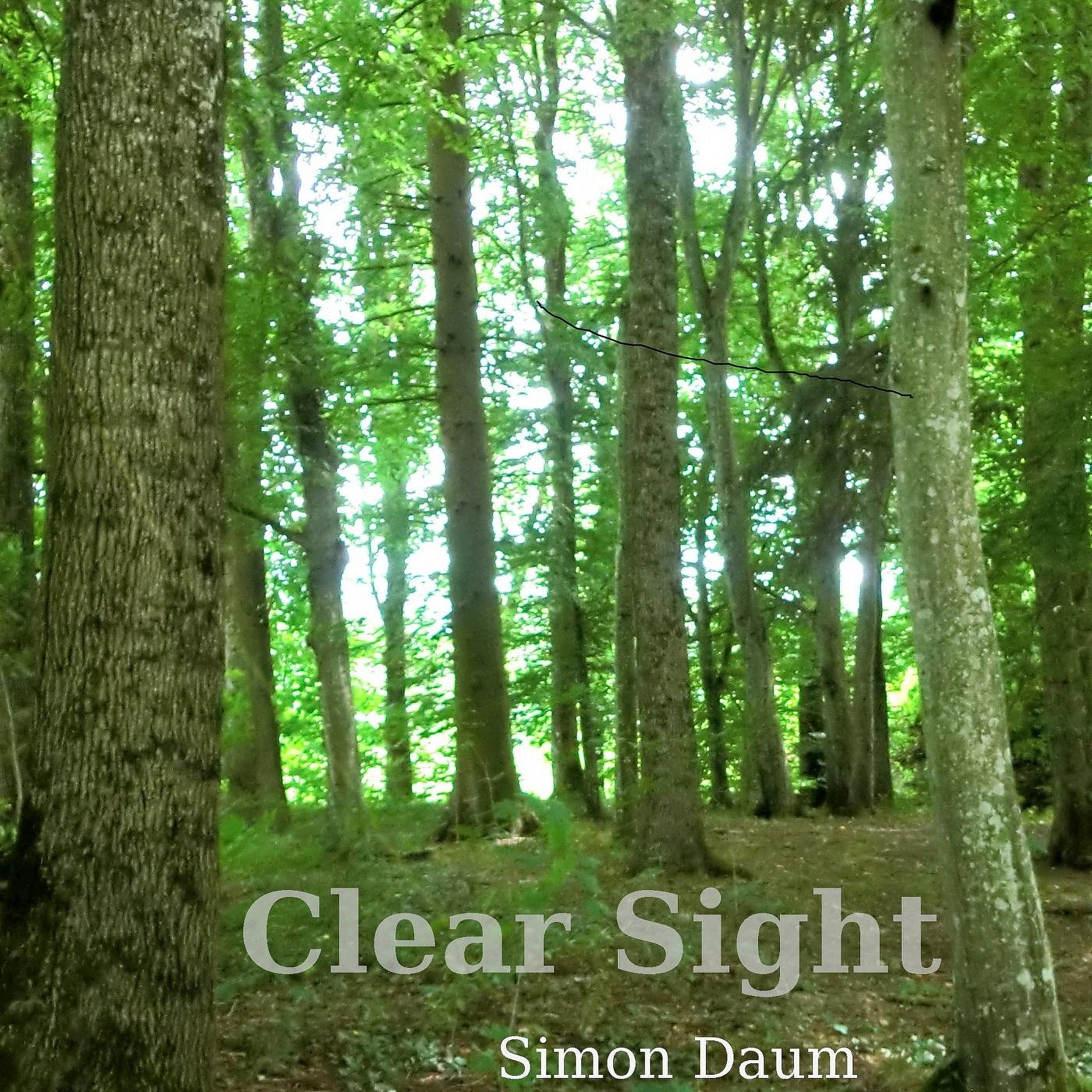 Clear Sight (MP3)